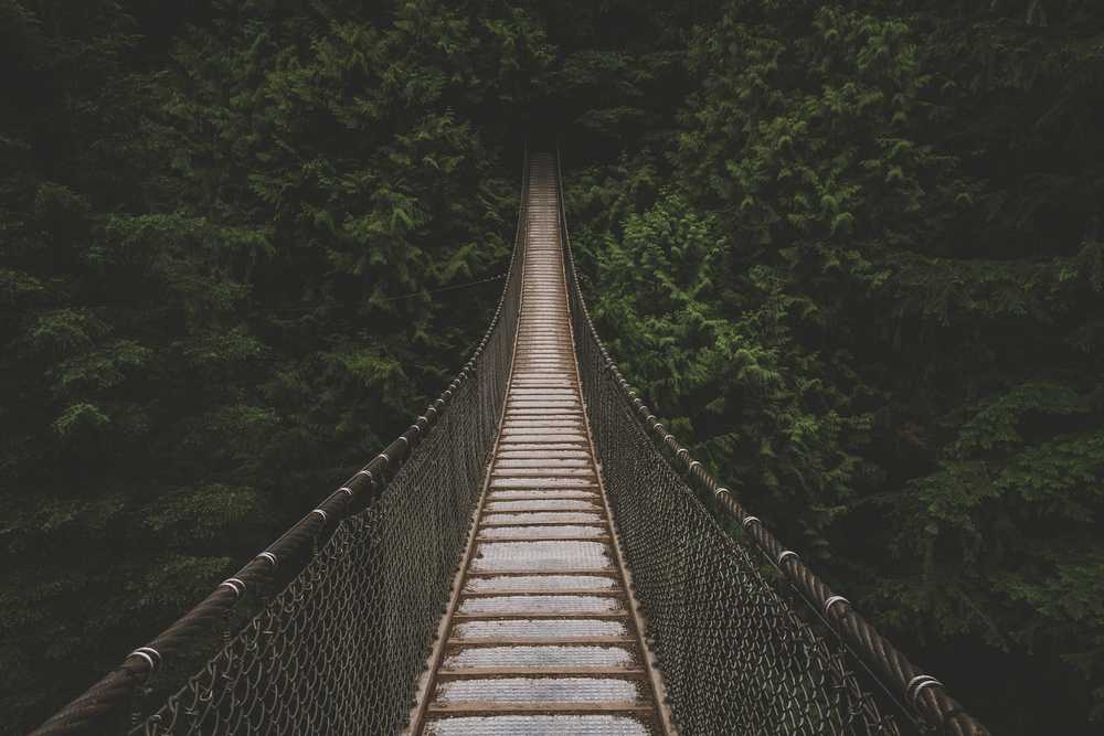 Bridge