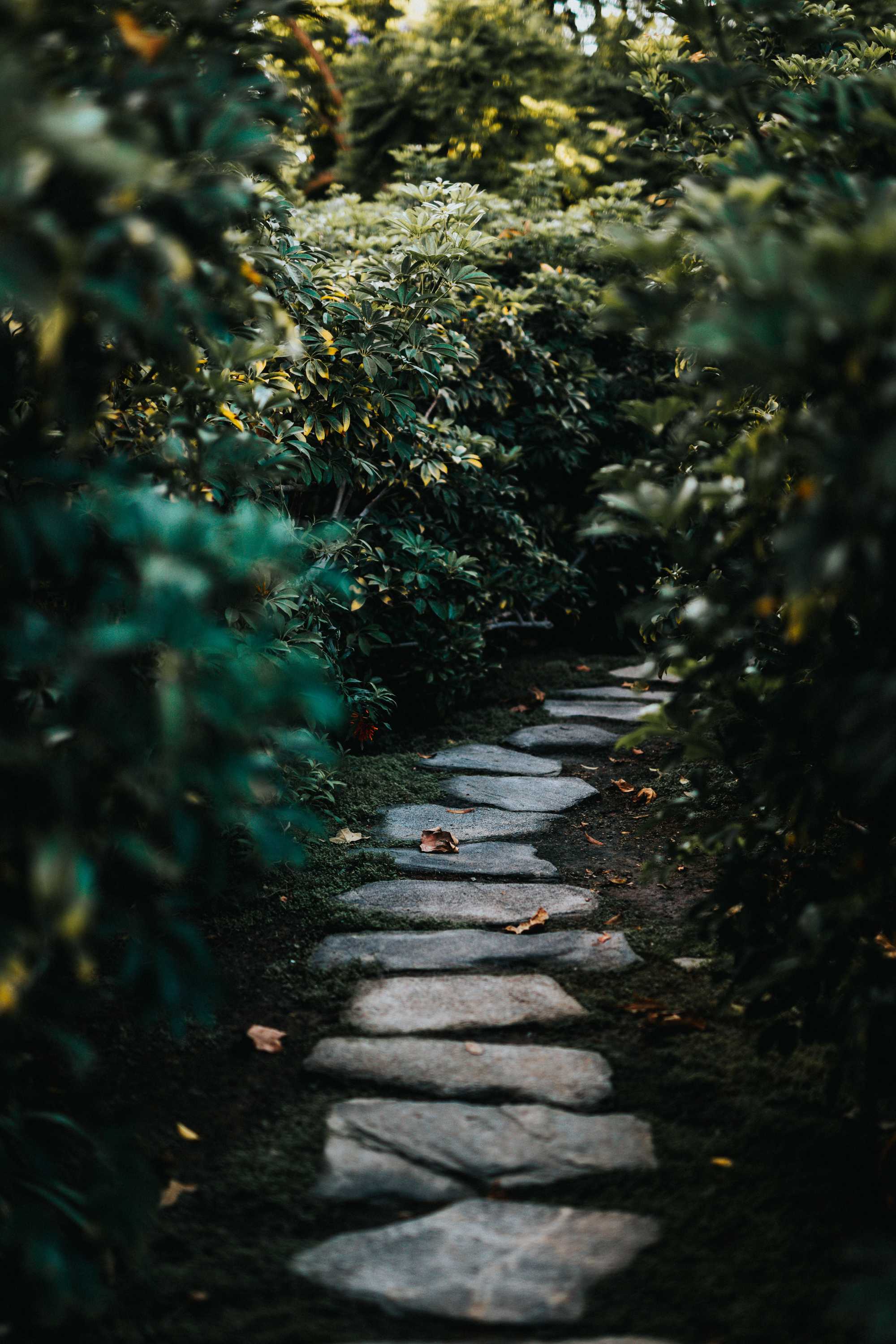 Stone steps